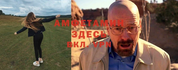 индика Нея