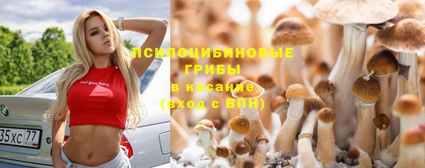 бутик Богданович
